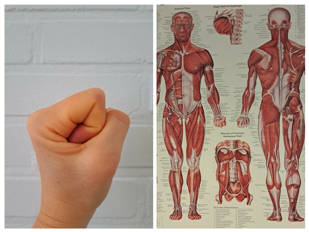 Vapauta selkäsi kivusta ja jännityksestä peruskurssi by Fysioextra asiantuntijafysioterapeutti Sari Salomaa